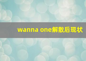 wanna one解散后现状